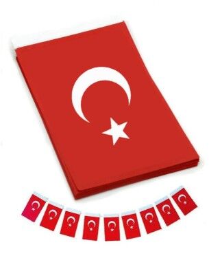 Vatan Büyük Boy, Kağıt İpli Bayrak 11x19 cm 40 Lı - 1