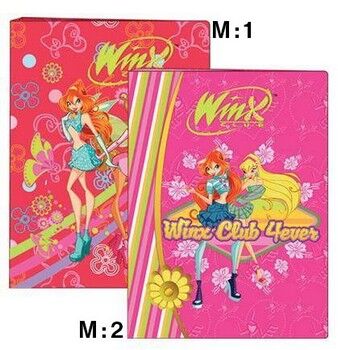 Winx Sunum Dosyası 40'lı - 1